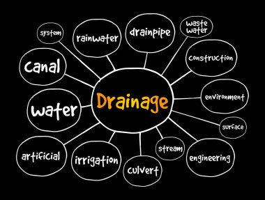 Zihin haritasını boşalt, sunumlar ve raporlar için konsept