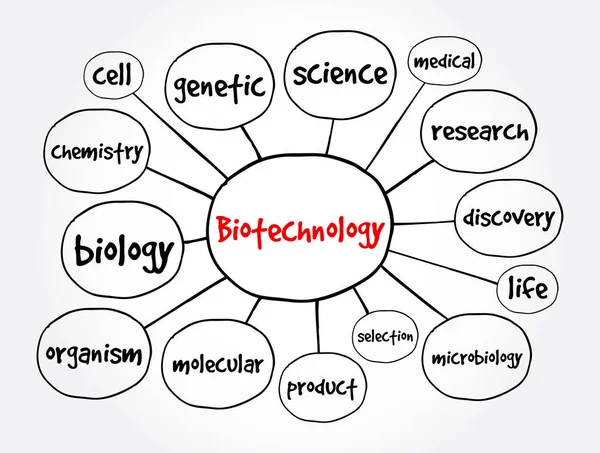 Biotechnológiai Elmetérkép Prezentációk Jelentések Koncepciója — Stock Vector