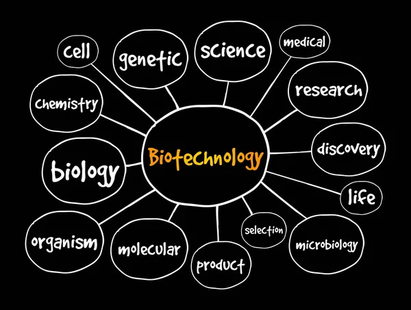 Biotechnológiai Elmetérkép Prezentációk Jelentések Koncepciója — Stock Vector