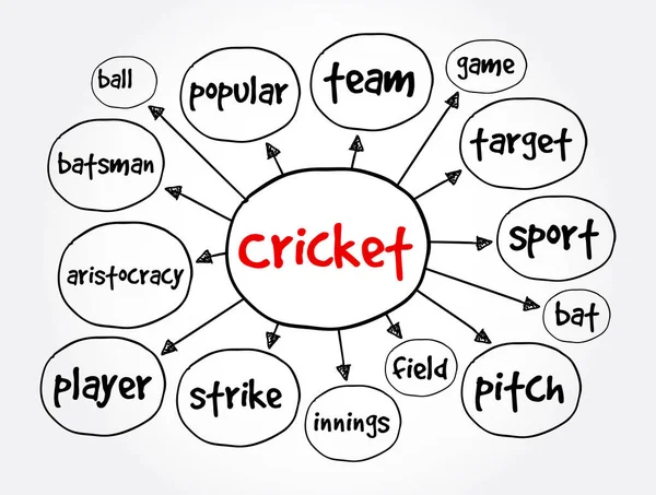 Cricket Mind Map Conceito Esporte Para Apresentações Relatórios —  Vetores de Stock