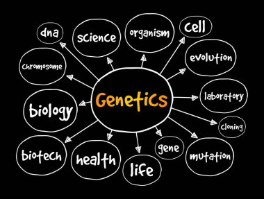 Genetik zihin haritası, sunum ve raporlar için tıbbi konsept