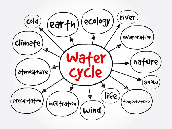 Mapa Mental Del Ciclo Del Agua Concepto Para Presentaciones Informes — Vector de stock