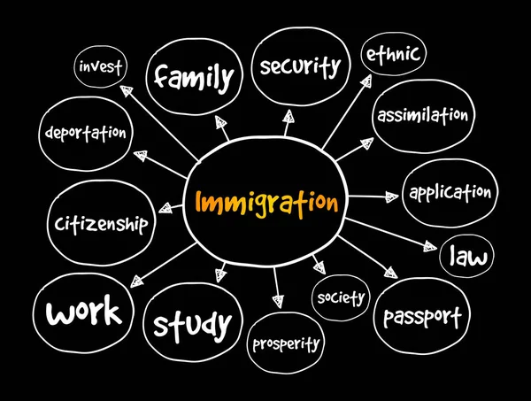 Mappatura Mentale Dell Immigrazione Concetto Presentazioni Relazioni — Vettoriale Stock