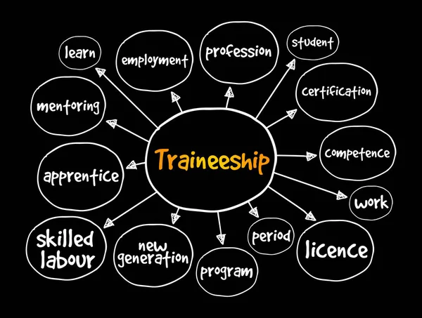 Carte Mentale Des Stages Concept Éducatif Pour Les Présentations Les — Image vectorielle
