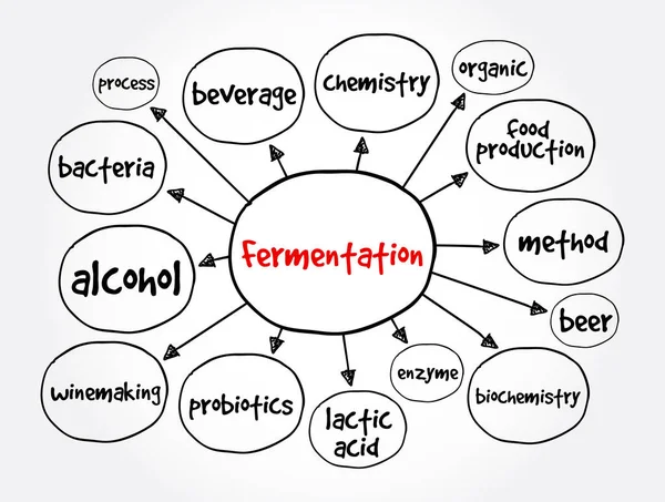 Mapa Mental Fermentación Concepto Para Presentaciones Informes — Vector de stock