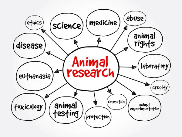 Mapa Mental Pesquisa Animal Conceito Para Apresentações Relatórios — Vetor de Stock