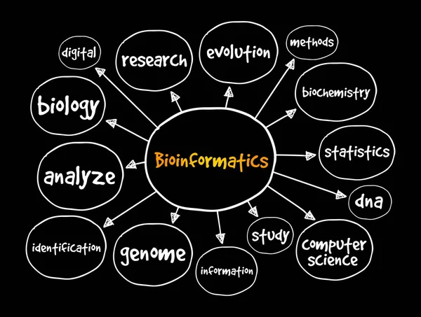 Bioinformática Mapa Mental Conceito Para Apresentações Relatórios — Vetor de Stock