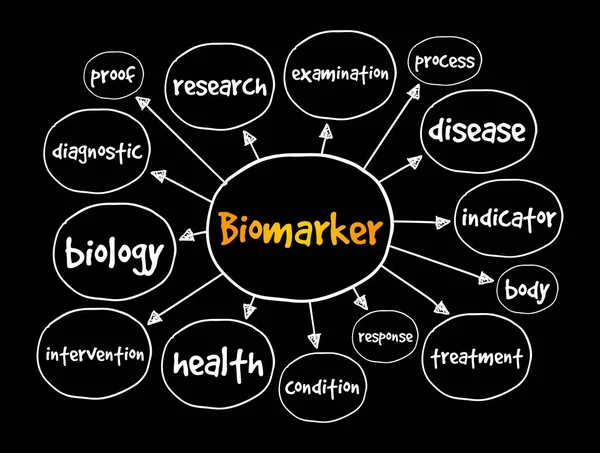 Biomarker Elmetérkép Prezentációk Jelentések Koncepciója — Stock Vector