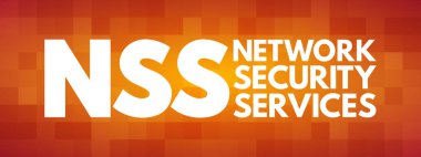 NSS - Ağ Güvenlik Servisi kısaltması, teknoloji konsepti geçmişi