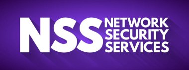 NSS - Ağ Güvenlik Servisi kısaltması, teknoloji konsepti geçmişi