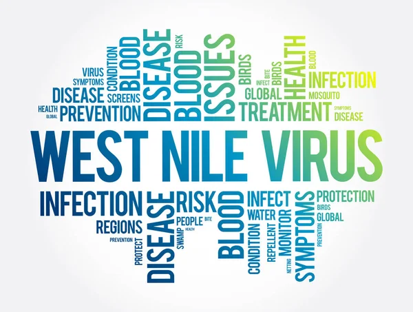 Virus Del Nilo Occidental Palabra Nube Collage Fondo Concepto Salud — Archivo Imágenes Vectoriales