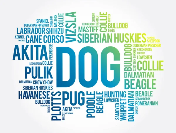 List Most Popular Dog Breeds Word Cloud Collage Animal Concept — Stock Vector