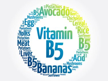B5 vitamini kelime bulut kolajı, sağlık konsepti geçmişi