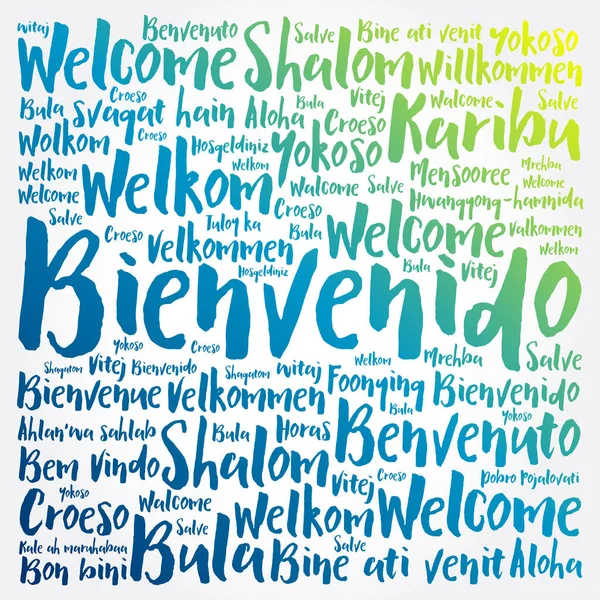 Bienvenido Bienvenido Español Palabra Nube Collage Diferentes Idiomas — Archivo Imágenes Vectoriales