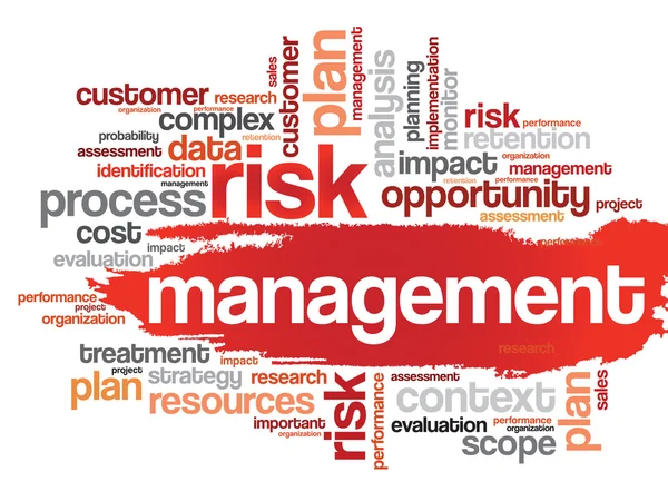 Risk Management word cloud — Stock Vector