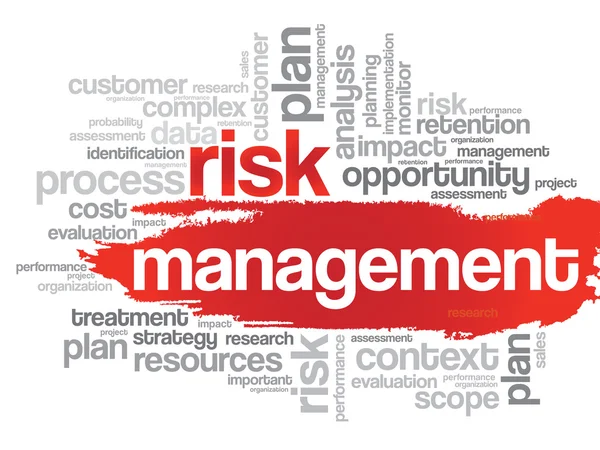 Risk management word cloud — Stock vektor