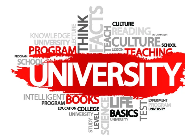 Üniversite — Stok Vektör