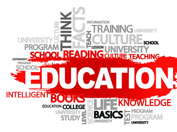 Образование