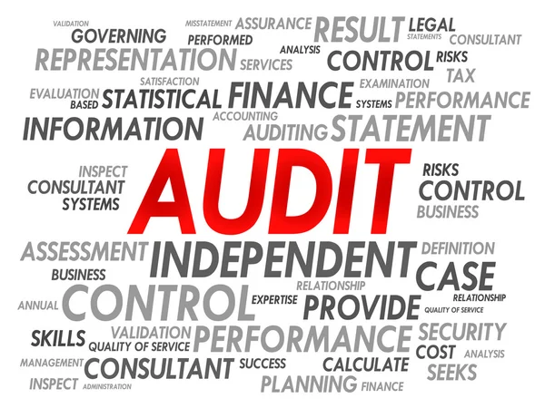 Parola di audit cloud — Vettoriale Stock