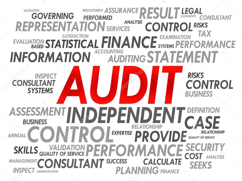 AUDIT word cloud