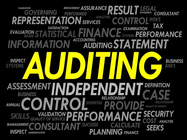 AUDITING word cloud — Stock Vector
