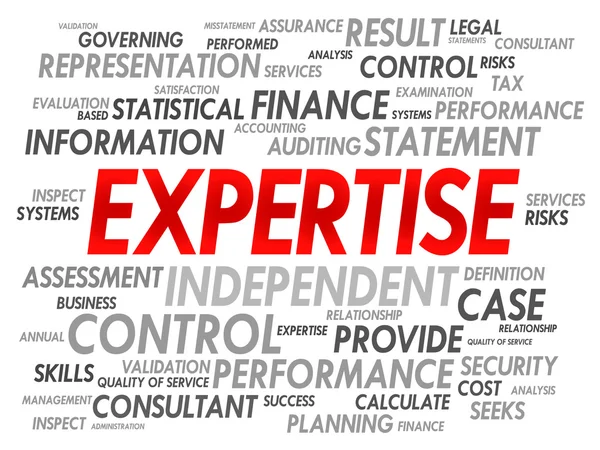 Expertise mot nuage — Image vectorielle