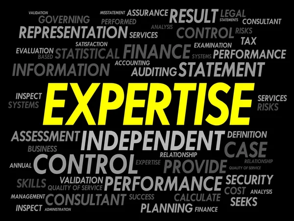 Expertise mot nuage — Image vectorielle