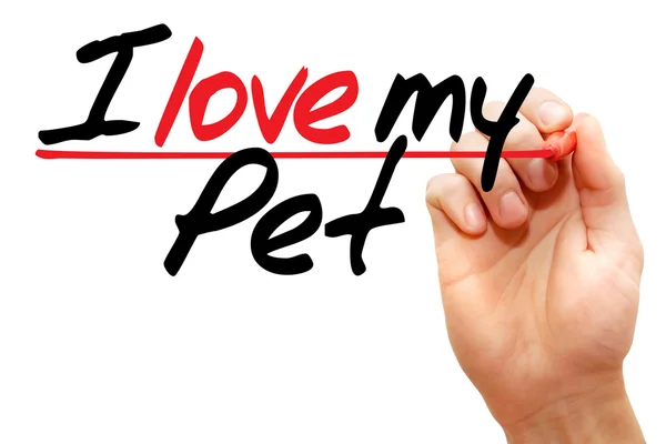 I love my Pet — Stock Photo, Image