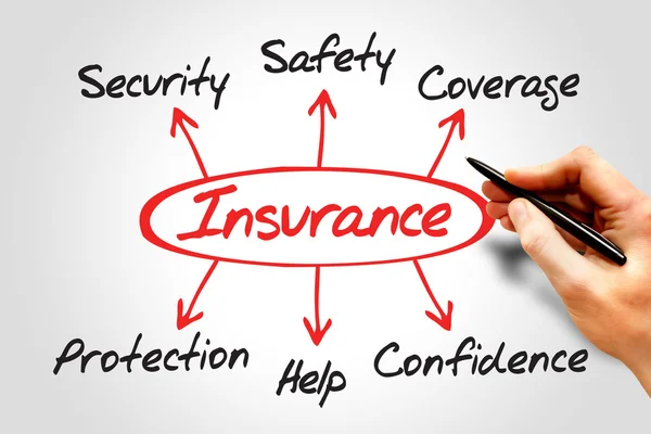 Insurance Diagram — Stock Photo, Image