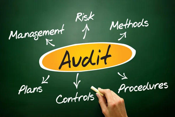 Audit diagram — Stock Photo, Image