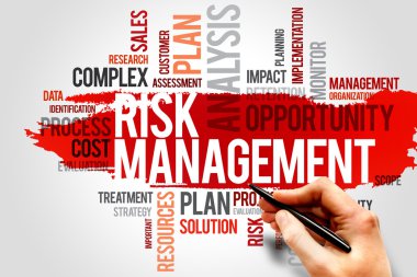 risk yönetimi
