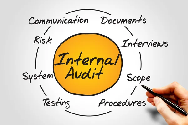 Internal Audit — Stock Photo, Image