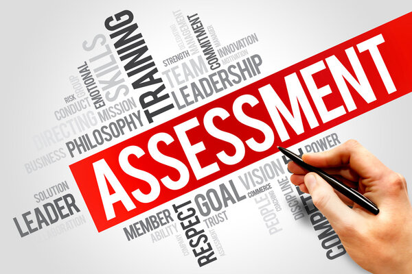 ASSESSMENT