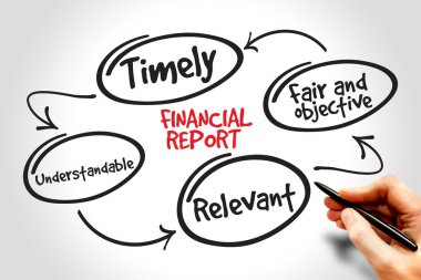 finansal rapor