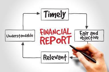 finansal rapor