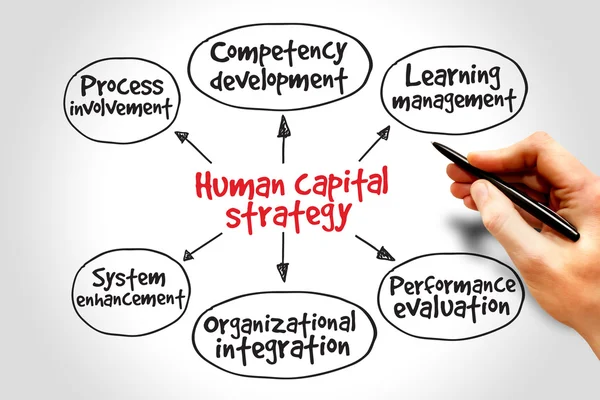 Human capital strategy — Stock Photo, Image