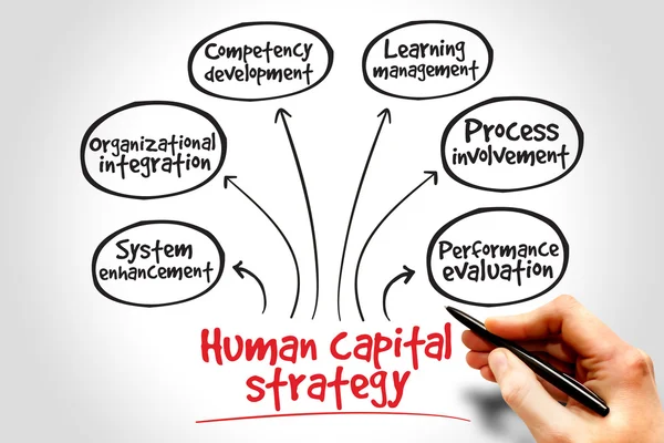 Human capital strategy — Stock Photo, Image