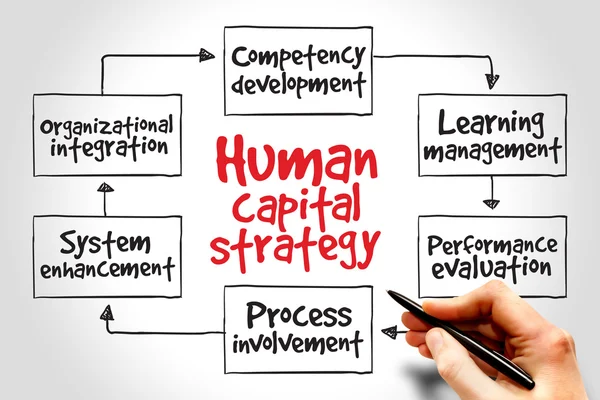 Human capital strategy — Stock Photo, Image