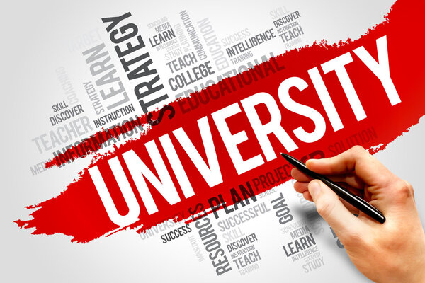 Университет