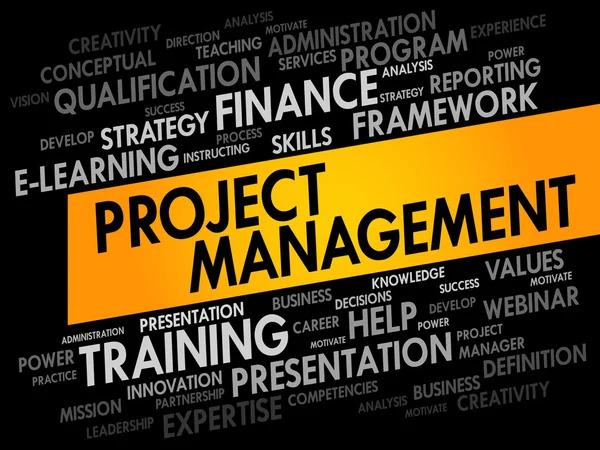 Project Management word cloud — Stock Vector