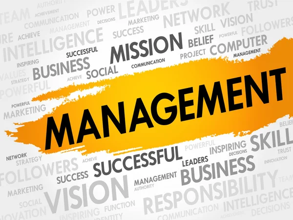 MANAGEMENT word cloud — Stock Vector