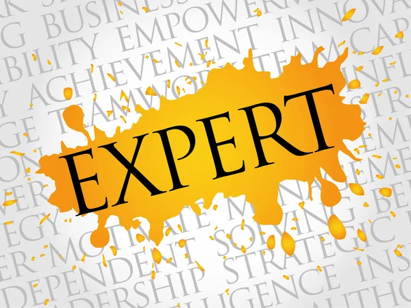 Nube di parole EXPERT — Vettoriale Stock