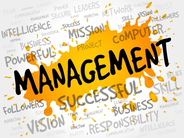 Management word cloud — Stock vektor