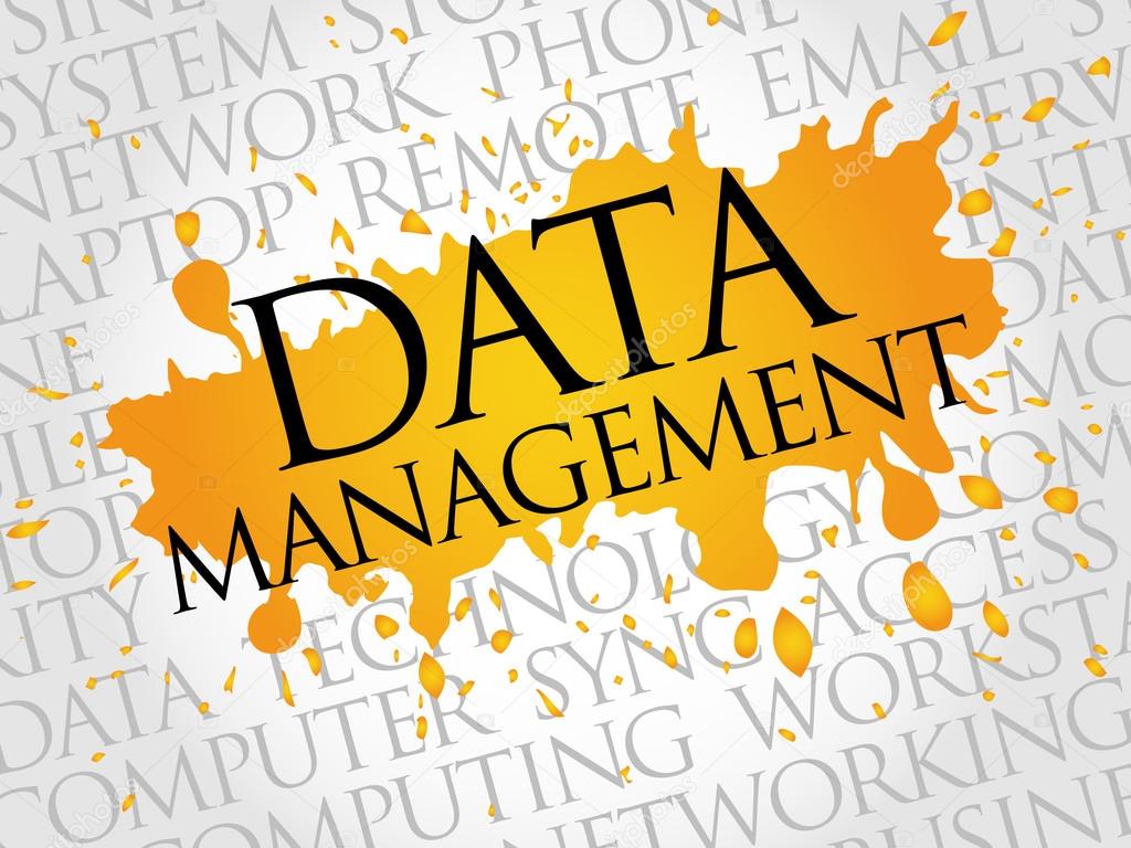 Data Management word cloud