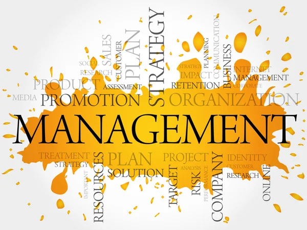 Management-Wortwolke — Stockvektor