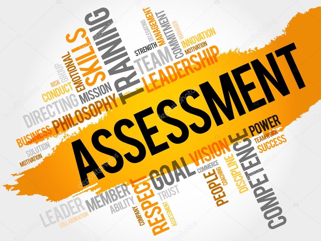 ASSESSMENT word cloud, business concept