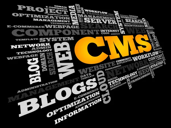 Sistema de gestión de contenidos CMS — Vector de stock