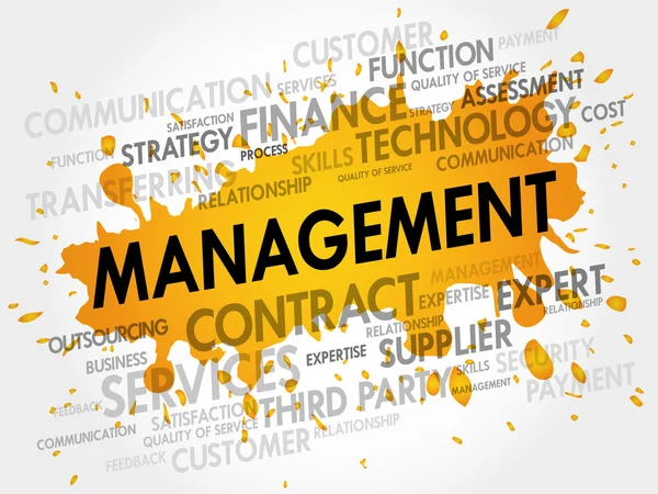 Management relaterade poster ord moln — Stockfoto