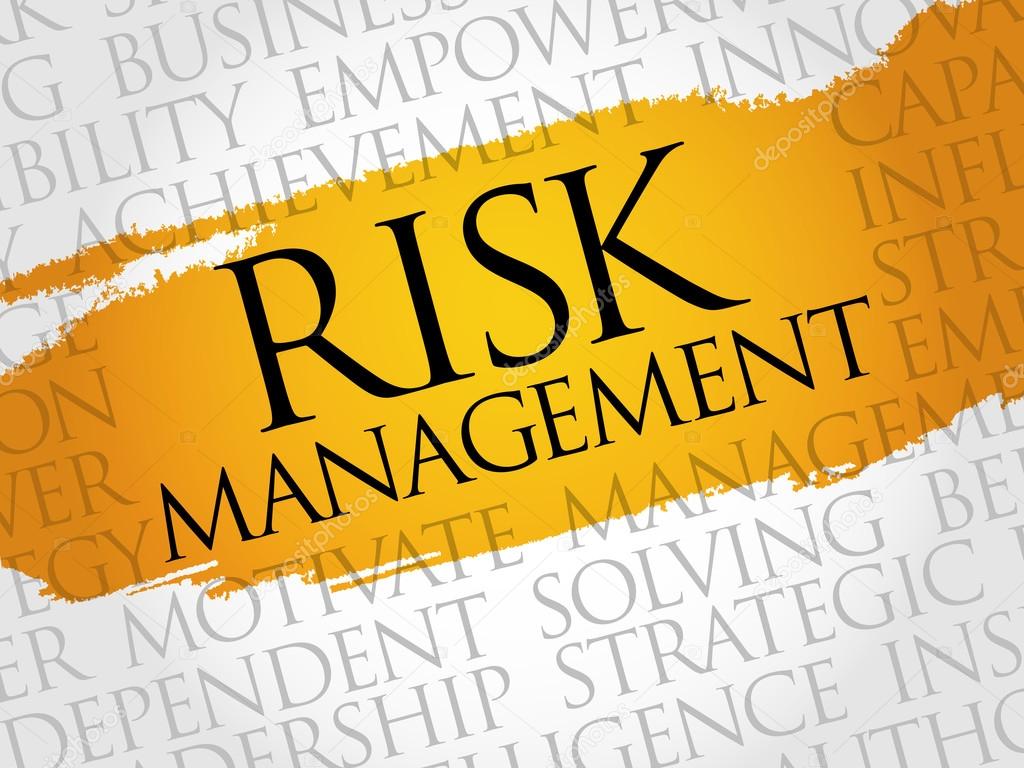 Risk Management word cloud