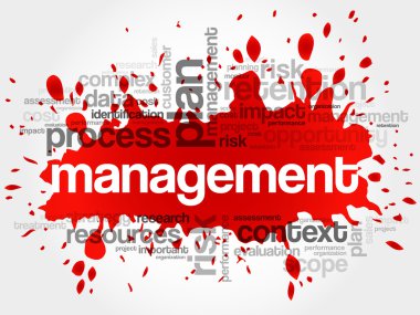 Yönetim kelime bulutu